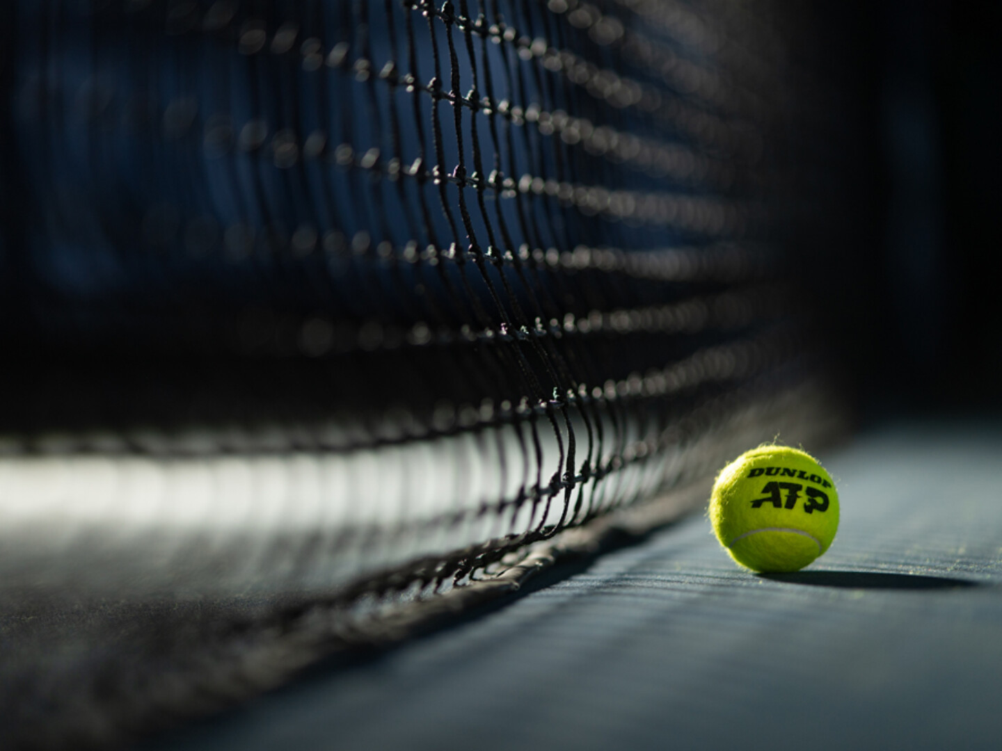 Anniversary Campaign - Dunlop tennis ball and net